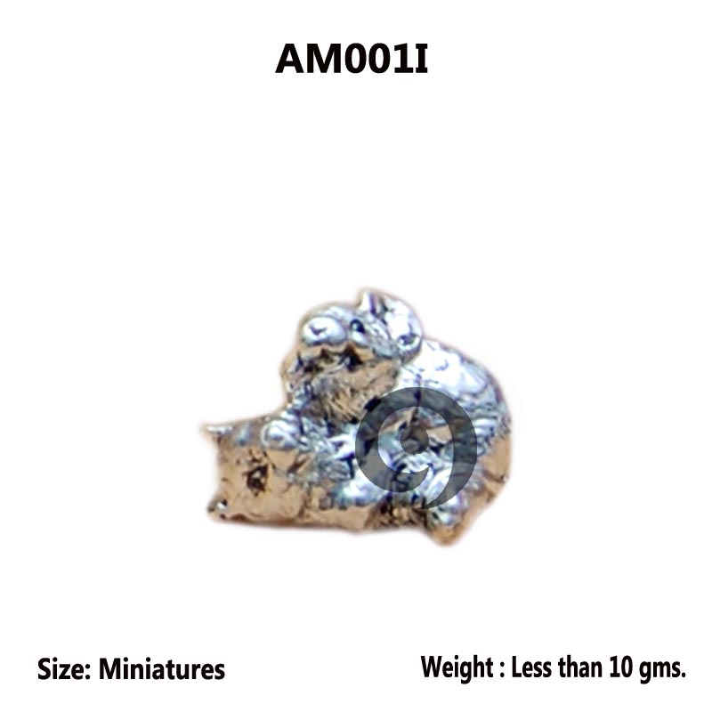 AM001I