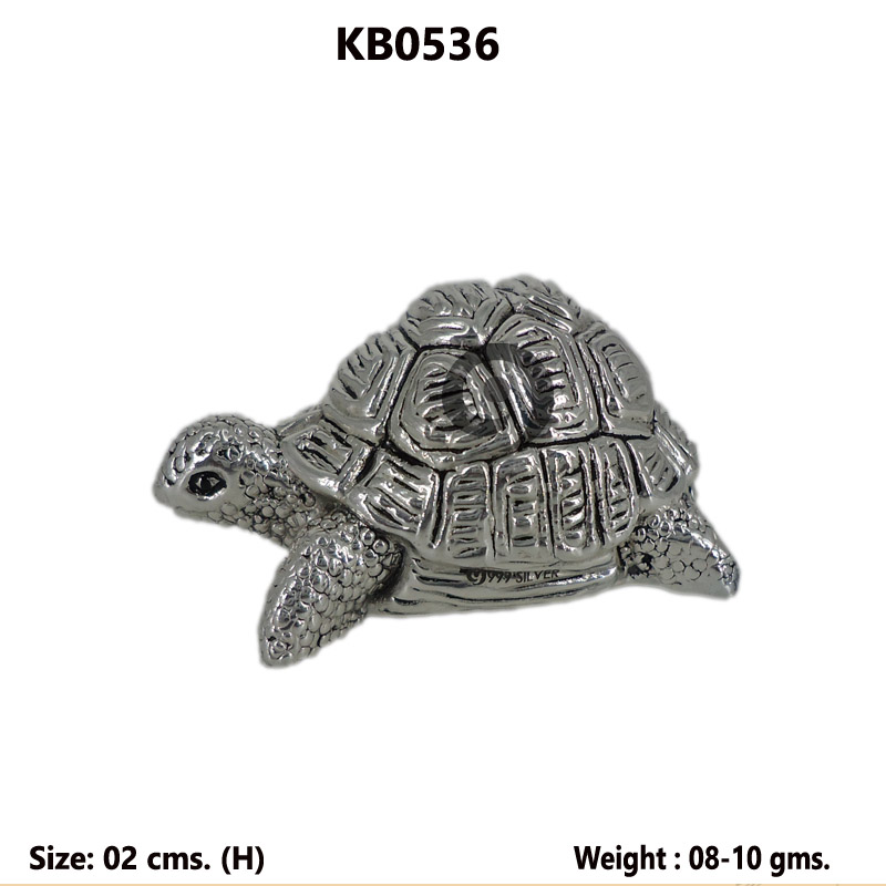 TORTOISE