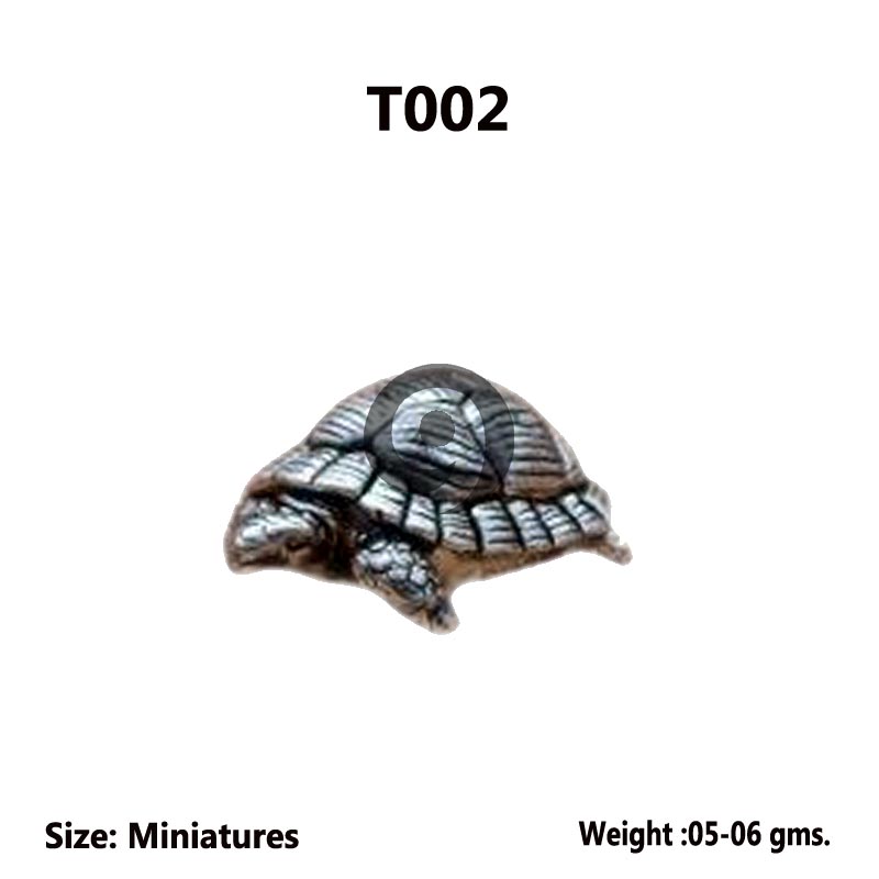 TORTOISE