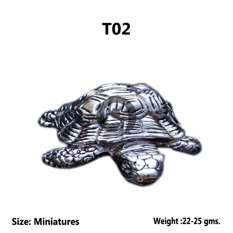 TORTOISE