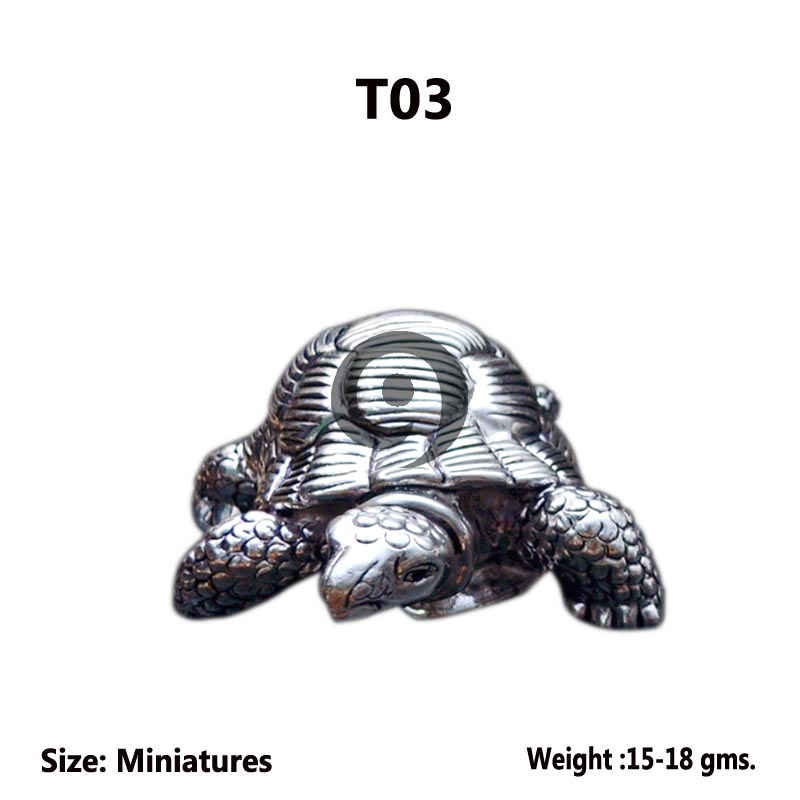 TORTOISE