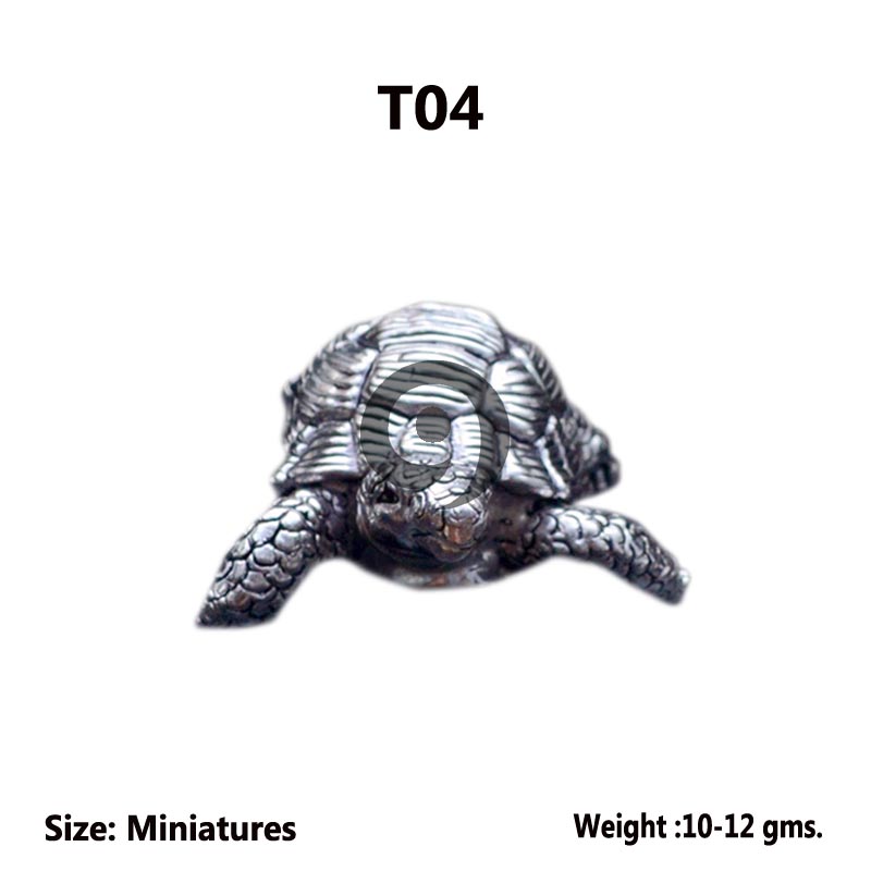 TORTOISE