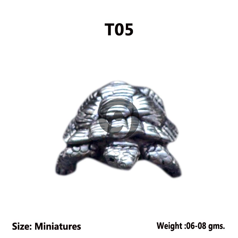 TORTOISE