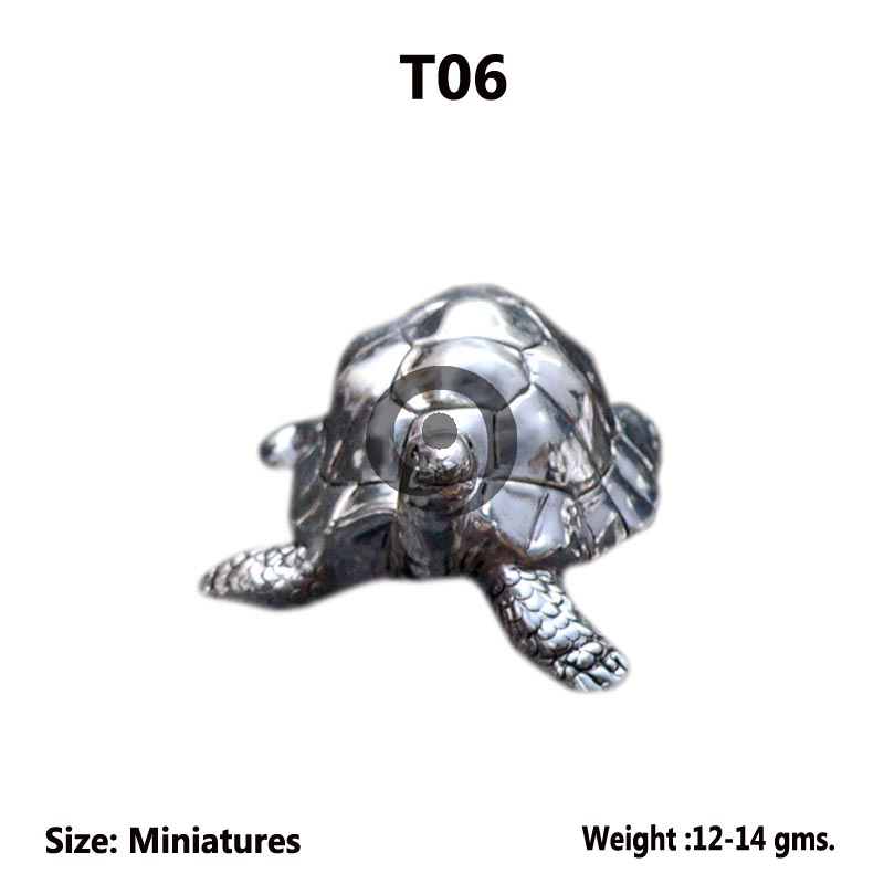 TORTOISE